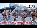 SUMO SCHOOL IN SESSION – Becoming strong wrestler and responsible adult
