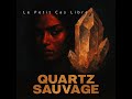 Quartz Sauvage #rap #music #amour #musique #rapfrancais #chanson #spotify #song #cover #rapfr
