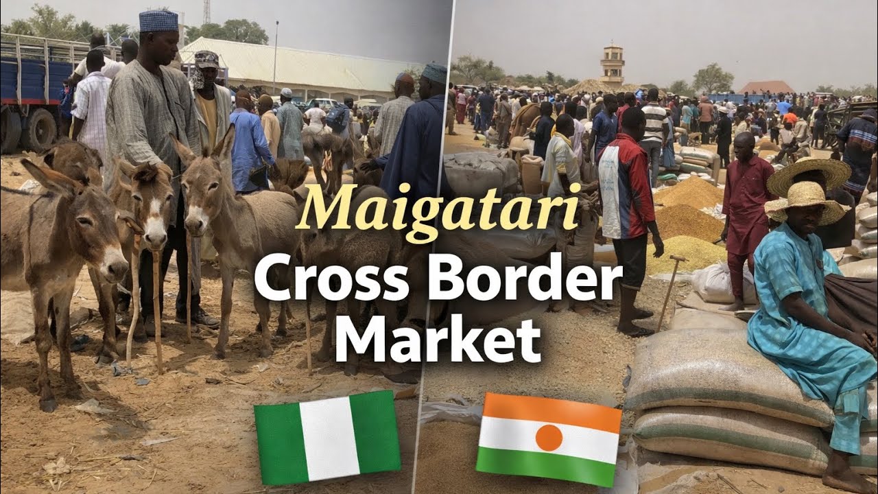 Inside Mai Gatari Border Market 🇳🇬🇳🇪 | Nigeria & Niger Rural Trade Experience | West Africa