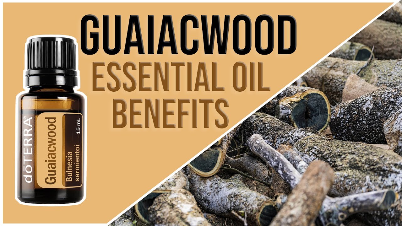 Guaiacwood Essential Oil Benefits - YouTube