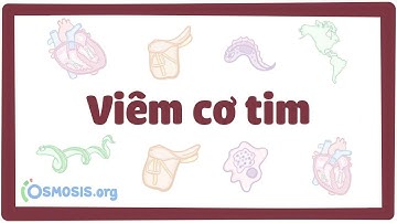 Viêm cơ tim