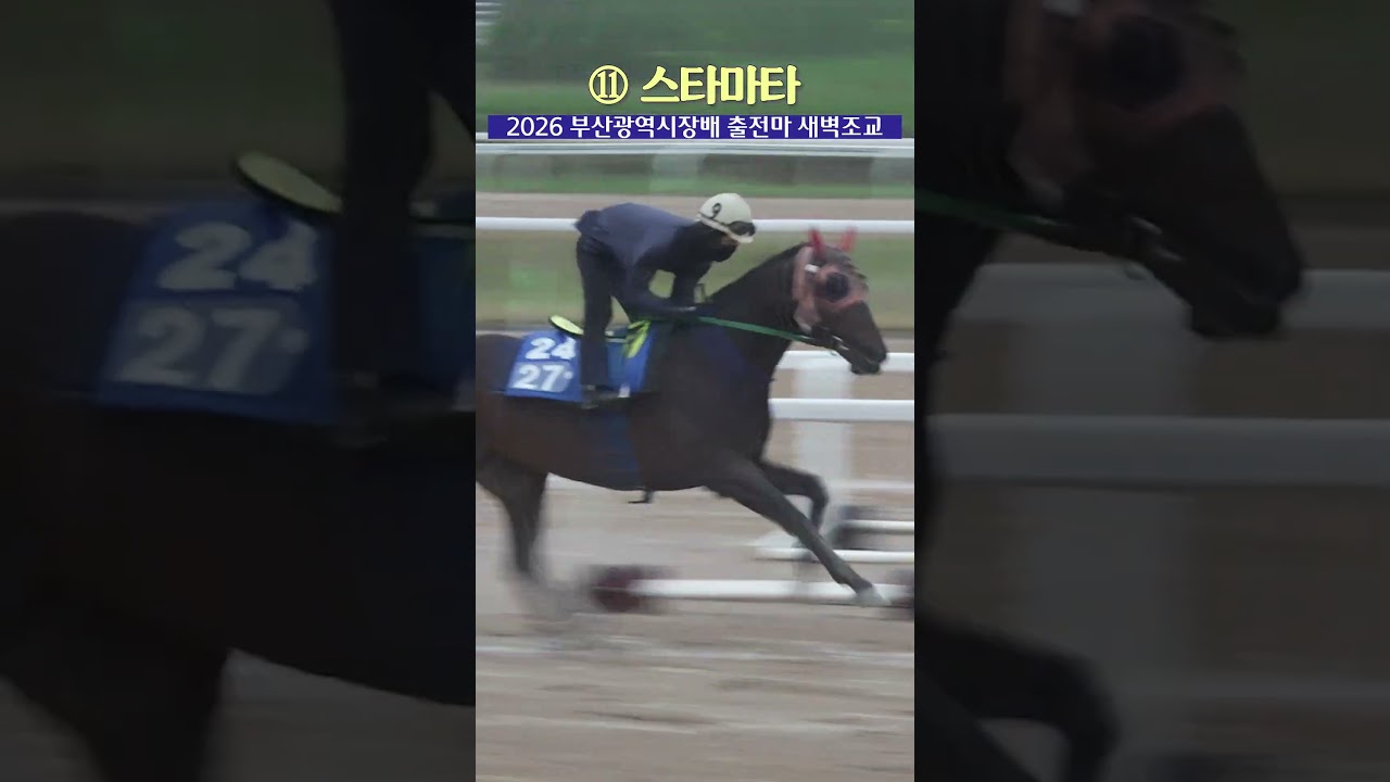 제2의 본다이아는 나올 것인가 -스타마타 편-