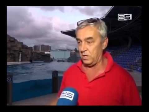 ბათუმის დელფინარიუმში მომხდარ ფაქტზე გამოძიება