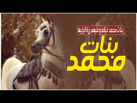 شيلة بنات محمد خياله بنات محمد خياله وعليهم رزة الرايه شيلة مدح خوات العريس بنات محمد 2025
