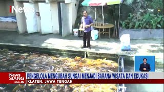 Pengelola Mengubah Selokan Bersih Jadi Wisata & Edukasi, Ratusan Ikan Hidup Disana 2106