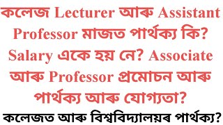 Assistant Professor and Lecturer: Differences in Qualifications, Salary & Promotion
