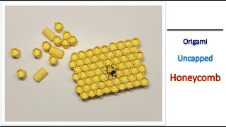 Origami Uncapped Honeycomb with Honey Bee | Origami Bricks and Tiles Origami Uncapped Honeycomb with Honey Bee | Origami Bricks and Tiles