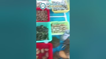 Bán Hàng Buổi Sáng Tại Hải Sản Lộc Sa Đéc Ngày 09/06/2023