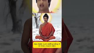 TỨ THÁNH ĐẾ + BÁT CHÁNH ĐẠO | SERIES:  CHUYỆN KỂ ĐỨC PHẬT #02#