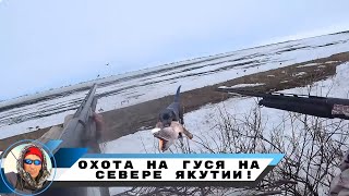 Охота на гуся на Севере Якутии. Весна-2024 года. часть 1.