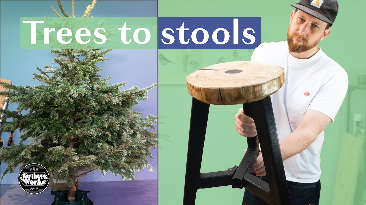 Don’t throw your Christmas tree away YouTube