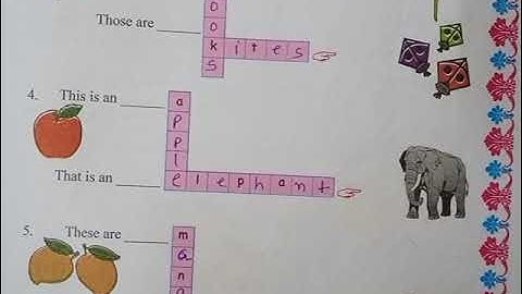 std 5 sub English unit  2 Activity 9A,9B,10