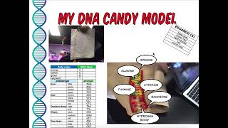 Science Candy Model