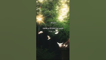 🤍🤍#القرآن_الكريم#محمد_صديق_المنشاوي#آية#قران#القارئ#الحمد_لله#راحة_نفسية#قرآن#هدوء#المنشاوي#قرأن