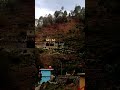 Mera uttrakhand live view #mukeshuttrakhandi #ytshorts #trending #mukeshuttrakhandi #shortsfeed