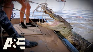 Top 3 MASSIVE Gators (Part 2) | Billy the Exterminator | A&E