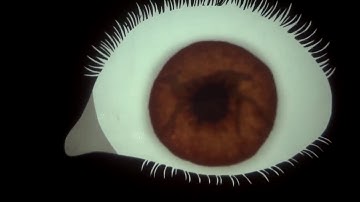 THROUGH THE LOOKINGGLASS Trailer