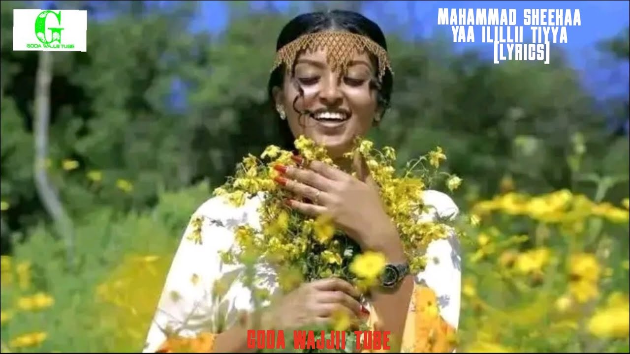 Mahammad Sheeka Yaa Ilillii Tiyya Lyrics (Oromo Music 2023) YouTube