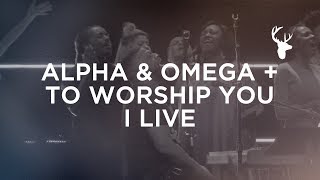 Video thumbnail of "Alpha & Omega + To Worship You I Live - Alton Eugene | Bethel Worship"