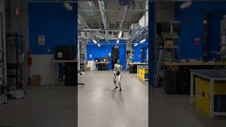 CDCL Humanoid Research