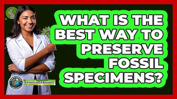 What Is The Best Way To Preserve Fossil Specimens? - Earth Science Answers