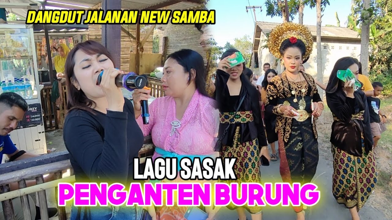 Musiknya Bikin Candu!!! Lagu Sasak - PENGANTEN BURUNG - Versi NEW SAMBA  | Live Setanggor.