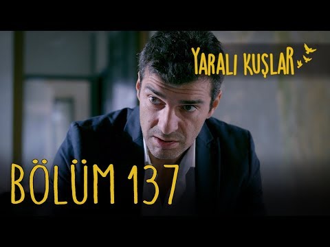 Yaralı Kuşlar 137. Bölüm