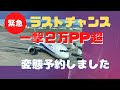 一撃2万PP超!SFC修行ANAダイヤ防衛 ソウル発券 無料