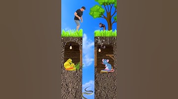 Who is smarter in this situation? #shorts Funny Tiktok editing by Tiktoriki