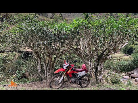 Video Vietnam Motorbike Tours In Hanoi 2022, Finding New... - youtube