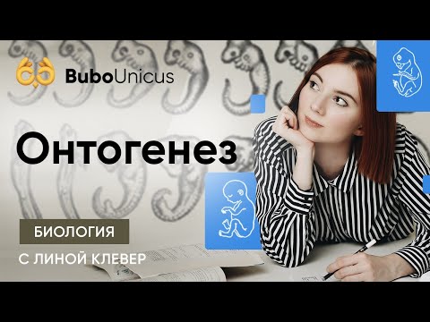 Онтогенез | БИОЛОГИЯ ЕГЭ | Лина Клевер