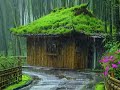 Close eyes , Keep calm and Enjoy rain  and thunderstorms sounds for sleeping