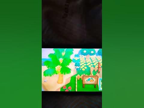 Animal Crossing New Horizonts Insel,Möbel,Zäune zeigen YouTube