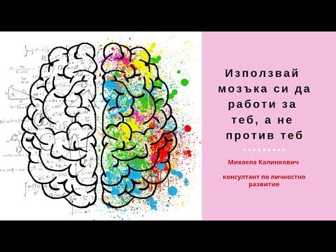 Видео: Учените показаха, че мозъкът се опитва да превключи вниманието четири пъти в секунда - Алтернативен изглед