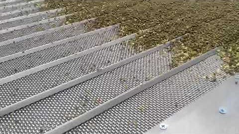Screen mung bean Gravity separator