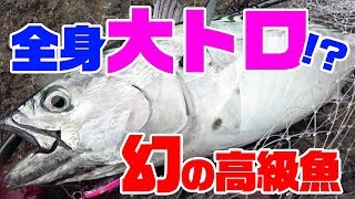【全身トロ】幻の超高級魚「スマ」をカツオと勘違いして全力でタタキにした結果