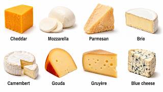 Every Cheese Explained