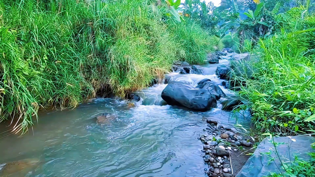 River Flow for Sleep Meditation