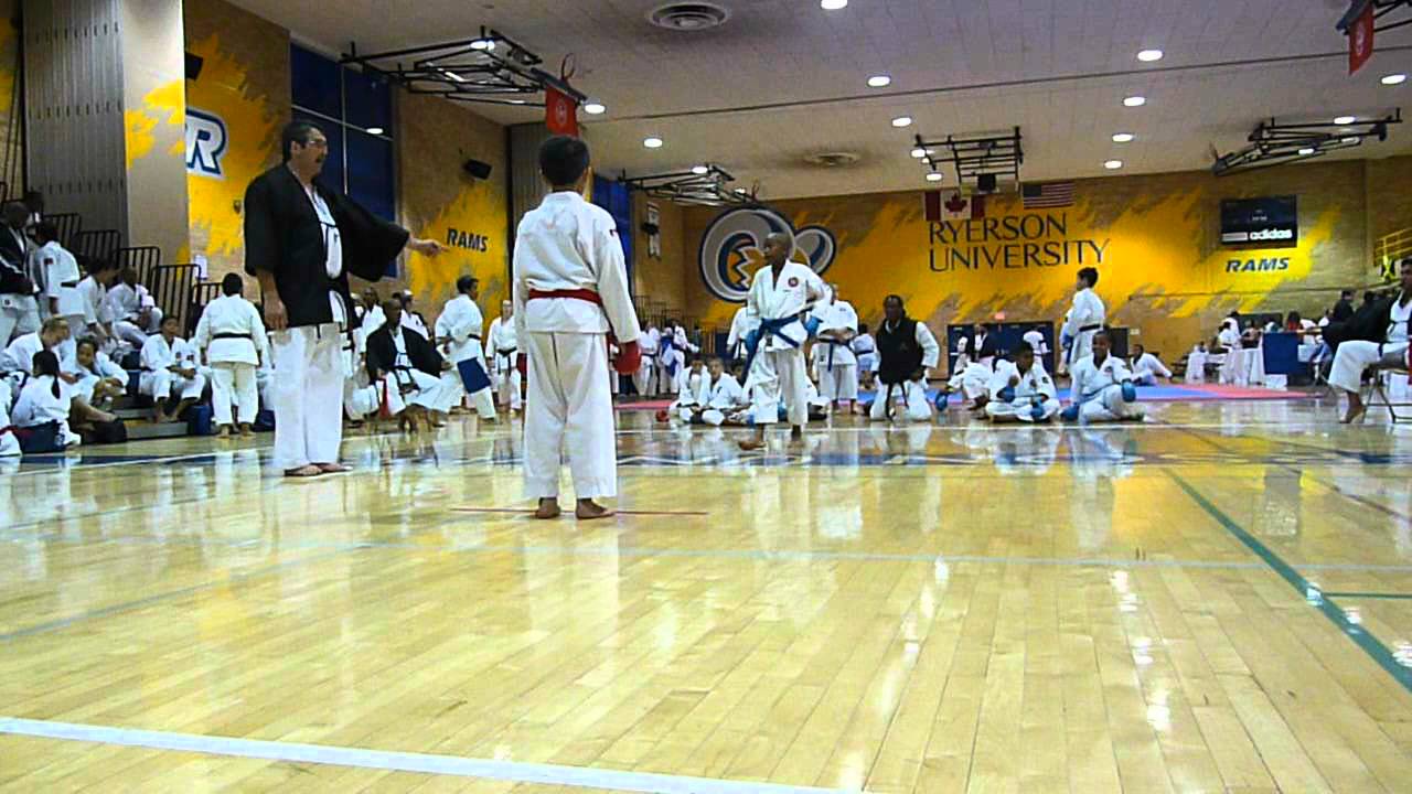 Jr Mens Kumite [Charleswood Karate, Winnipeg] IKD World Cup 2012 in