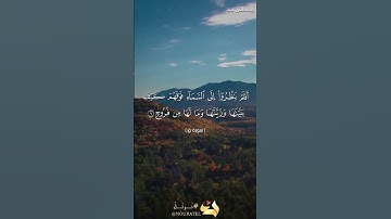 آيات عذبة من سورة ق بصوت القارئ مصطفى جيد