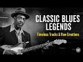 The Animals, ZZ Top, Eric Clapton, Muddy, Jimi Hendrix Inspired Soul Rock Blues Silent Echo