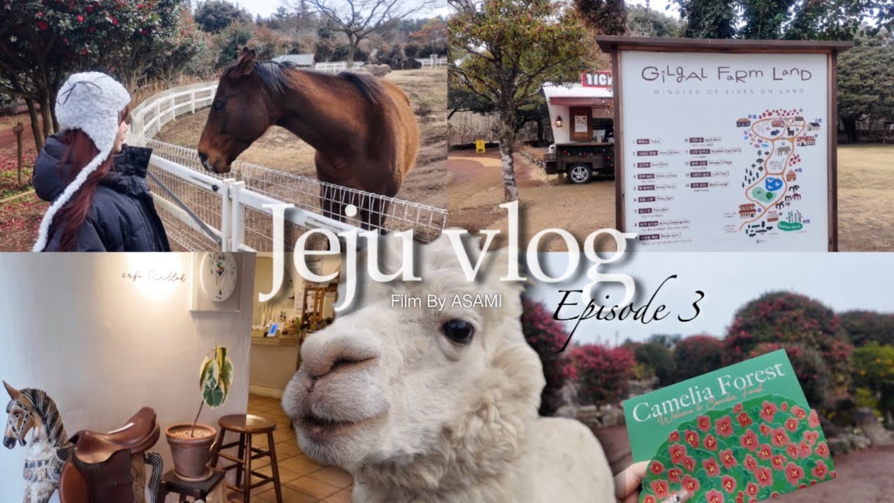【済州島VLOG】Jeju Day3🇰🇷｜最終日、椿庭園、牧場
