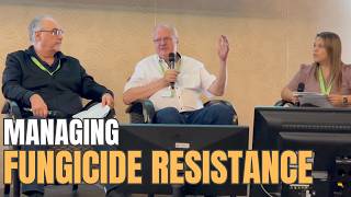 Canada can learn from Europes fungicide resistance challenges