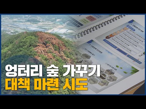 엉터리 숲 가꾸기 사업, 대책 마련
