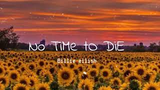 Billie Eilish ~No Time To Die // Lyrics🎶
