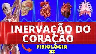 INERVAÇÃO DO CORAÇÃO - SIMPÁTICO E PARASSIMPÁTICO - FISIOLOGIA CARDIOVASCULAR - FISIOLOGIA HUMANA