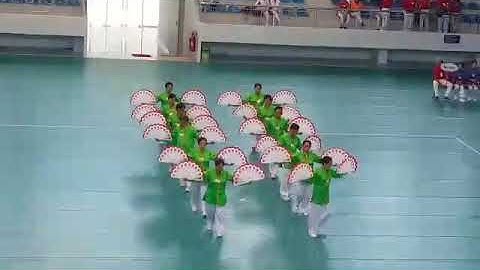 Bài Thái cực song phiến