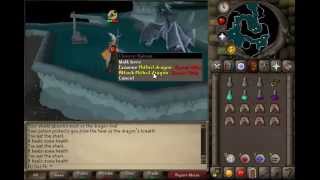 Mithril Dragons Guide (Melee)