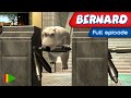 Bernard Bear 85 The Underground Full Episode 