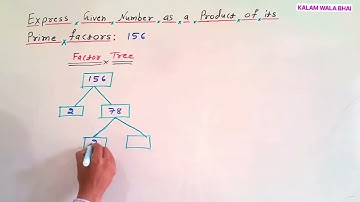 Factor Tree 🌲 of 156 Real Number Class 10th CBSE